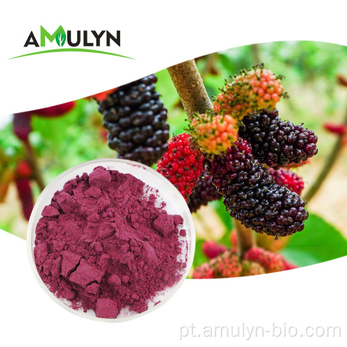 Pó de MulBerry roxo seco com extrato de frutas